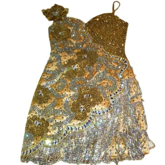 Luxury Couture Swarovski Crystals Runway Fringes Flowers Cocktail Glamour Dress - Picture 10 of 12